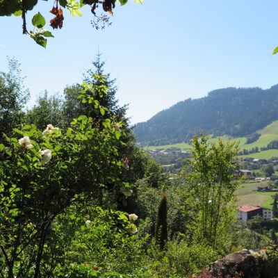 Blick vom der Terrasse